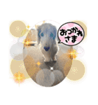 そらは19歳！（個別スタンプ：6）