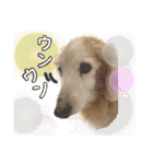そらは19歳！（個別スタンプ：8）