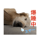そらは19歳！（個別スタンプ：12）