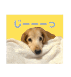 そらは19歳！（個別スタンプ：13）