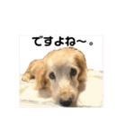 そらは19歳！（個別スタンプ：16）