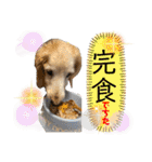 そらは19歳！（個別スタンプ：17）