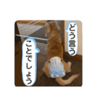 そらは19歳！（個別スタンプ：21）