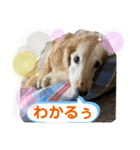 そらは19歳！（個別スタンプ：22）