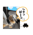 そらは19歳！（個別スタンプ：25）