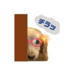 そらは19歳！（個別スタンプ：26）