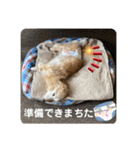 そらは19歳！（個別スタンプ：28）