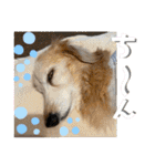 そらは19歳！（個別スタンプ：33）