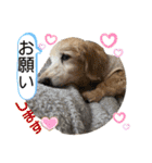 そらは19歳！（個別スタンプ：34）