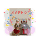 そらは19歳！（個別スタンプ：36）