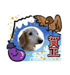 そらは19歳！（個別スタンプ：39）
