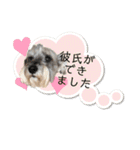 おちゃめなミニシュナ！ vol.6【近況編】（個別スタンプ：16）