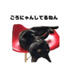 ネコロミコロン-ゆるい気持ちのネコ-（個別スタンプ：4）
