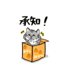 りんたろうと箱と猫たち（個別スタンプ：6）