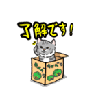 りんたろうと箱と猫たち（個別スタンプ：7）