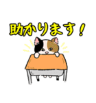 りんたろうと箱と猫たち（個別スタンプ：11）