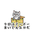 りんたろうと箱と猫たち（個別スタンプ：31）