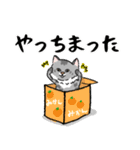 りんたろうと箱と猫たち（個別スタンプ：36）