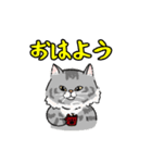 りんたろうと箱と猫たち（個別スタンプ：39）