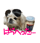 ペキニーズのシナモンとモカ（個別スタンプ：18）
