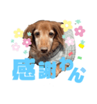 らぶぞぅp（個別スタンプ：6）