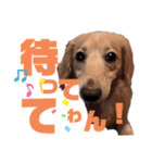 らぶぞぅp（個別スタンプ：7）