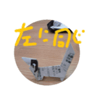 レシート犬4(改)（個別スタンプ：7）