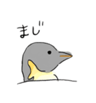 ペンギんで世界を救う（個別スタンプ：5）