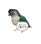 michochii2（個別スタンプ：2）