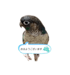 michochii2（個別スタンプ：3）
