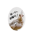 michochii2（個別スタンプ：10）