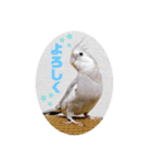 michochii2（個別スタンプ：11）