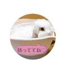 michochii2（個別スタンプ：17）