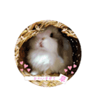 michochii2（個別スタンプ：27）