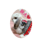 michochii2（個別スタンプ：28）