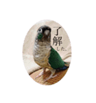 michochii2（個別スタンプ：30）