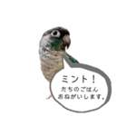 michochii2（個別スタンプ：33）