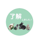 michochii2（個別スタンプ：39）