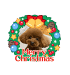 Merry Christmas ＆ Happy New Year！（個別スタンプ：1）