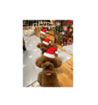 Merry Christmas ＆ Happy New Year！（個別スタンプ：3）
