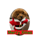Merry Christmas ＆ Happy New Year！（個別スタンプ：4）
