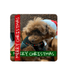 Merry Christmas ＆ Happy New Year！（個別スタンプ：5）
