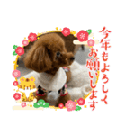 Merry Christmas ＆ Happy New Year！（個別スタンプ：6）