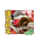 Merry Christmas ＆ Happy New Year！（個別スタンプ：7）
