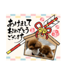 Merry Christmas ＆ Happy New Year！（個別スタンプ：9）