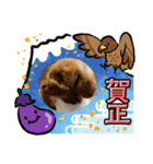 Merry Christmas ＆ Happy New Year！（個別スタンプ：10）