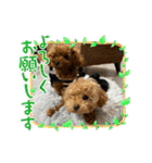 Merry Christmas ＆ Happy New Year！（個別スタンプ：20）
