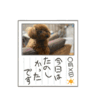 Merry Christmas ＆ Happy New Year！（個別スタンプ：23）