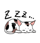 みけ猫時々町猫（個別スタンプ：4）