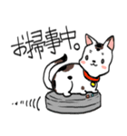 みけ猫時々町猫（個別スタンプ：9）